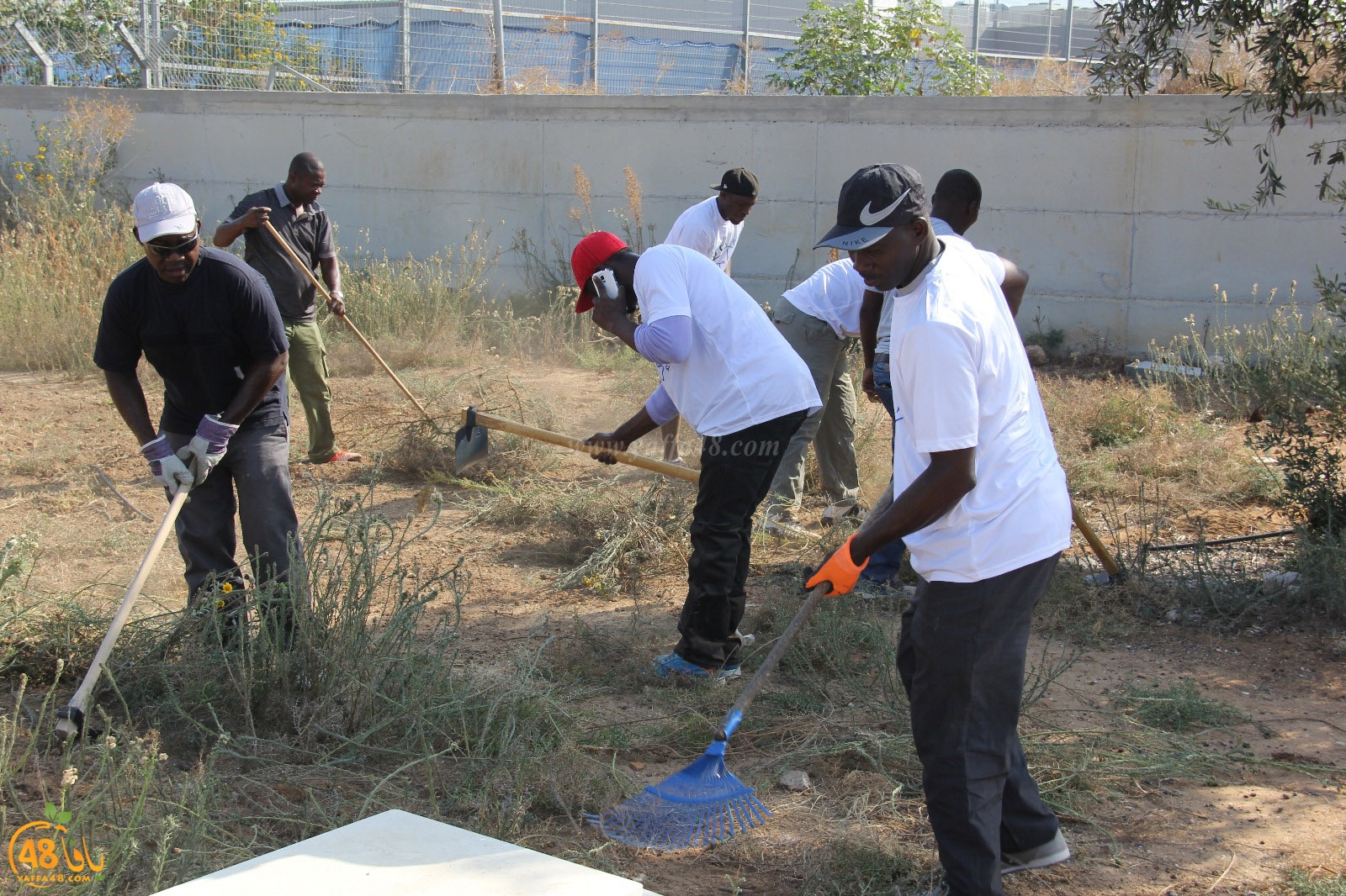 tasoo tandefet (84).jpg